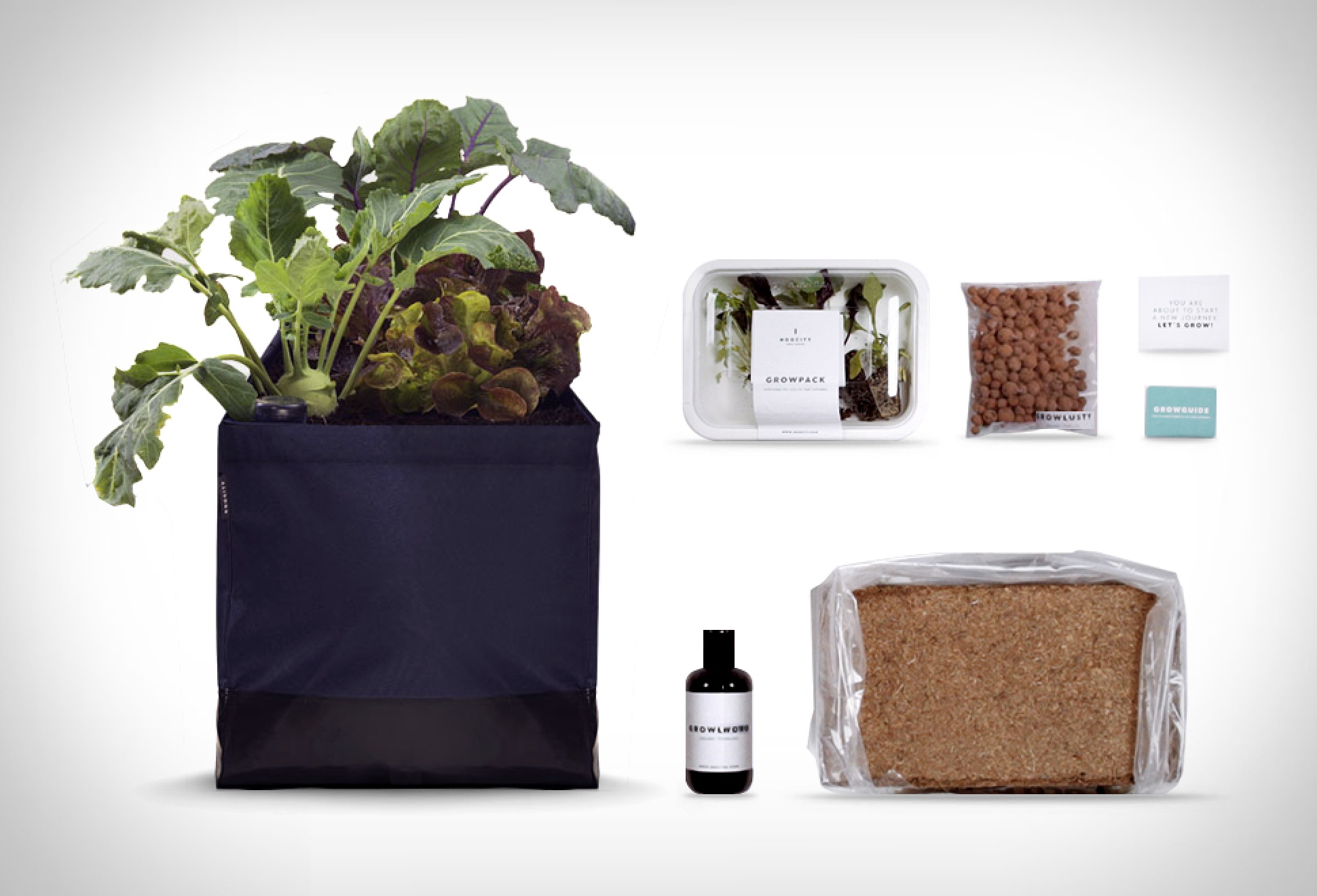 Noocity Growkit | Image