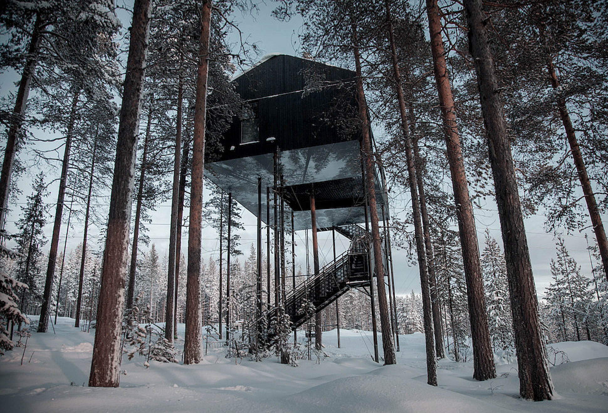The 7Th Room Treehouse | Image