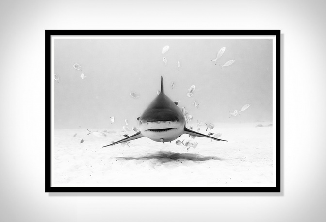 CHRISTIAN VIZL OCEAN PRINTS - Image