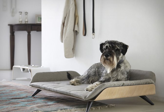 LETTO DOG BED - Image