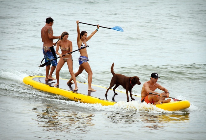 Supflex BigSup - Image