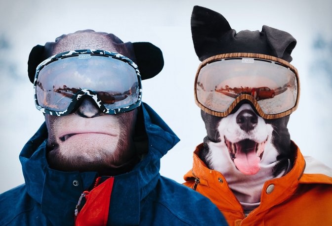Ultra-Realistic Animal Ski Masks - Image