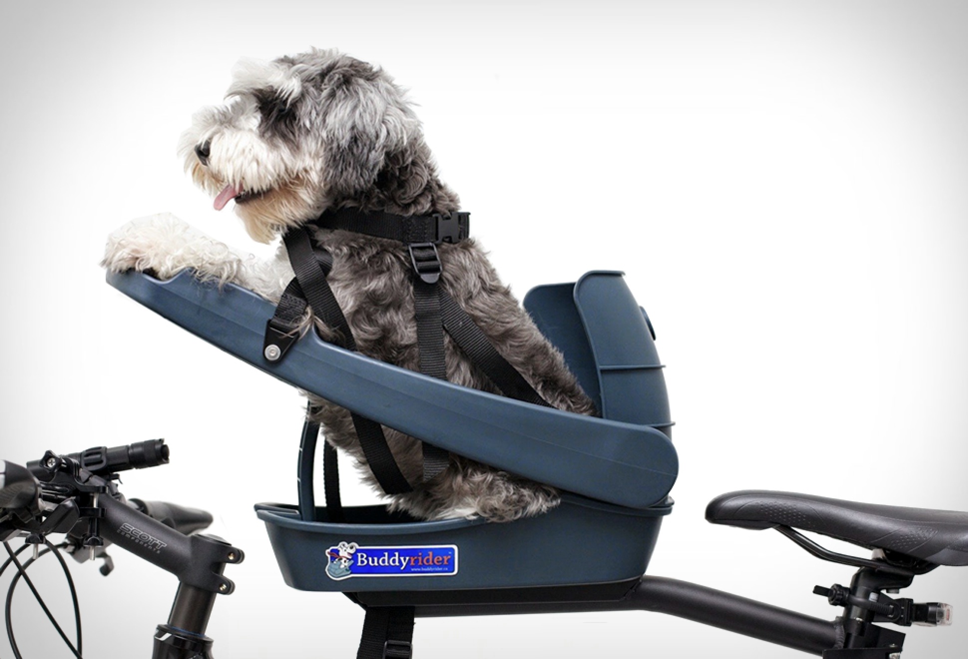 BuddyRider