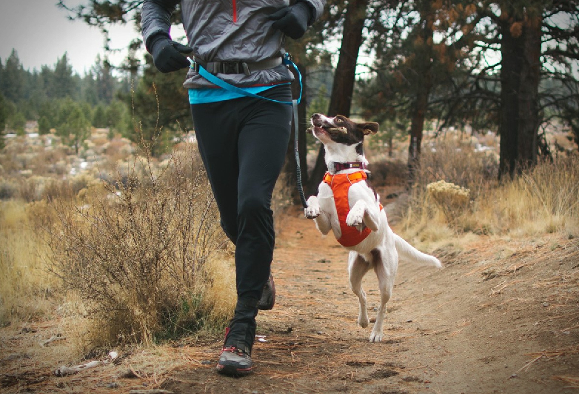 Ruffwear Trail Runner System | Image