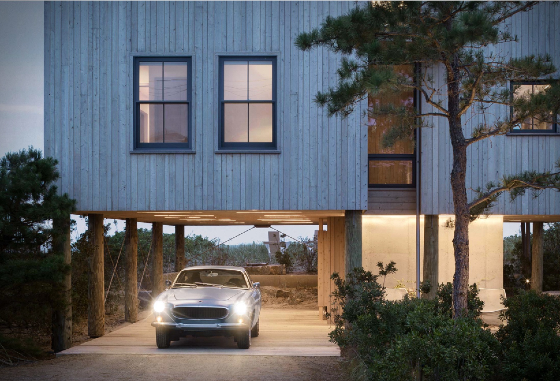 In The Dunes House | Image