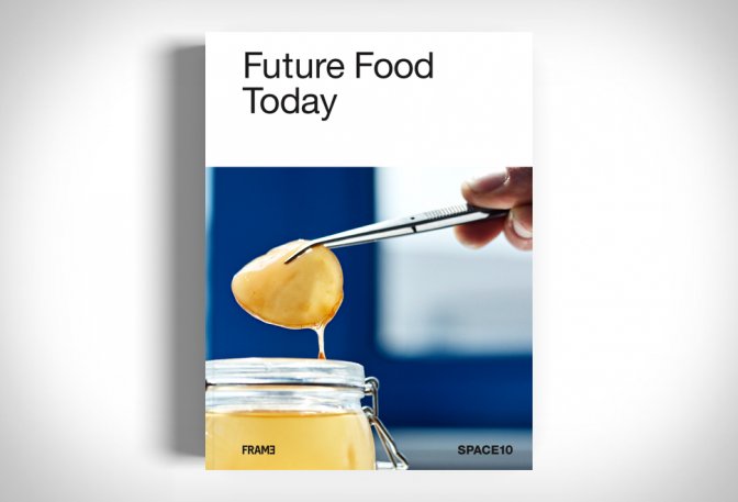 FUTURE FOOD TODAY - Image
