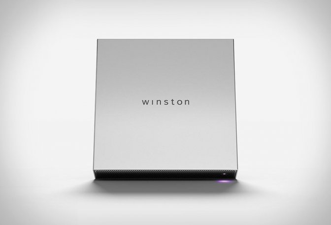 WINSTON ONLINE PRIVACY DEVICE - Image