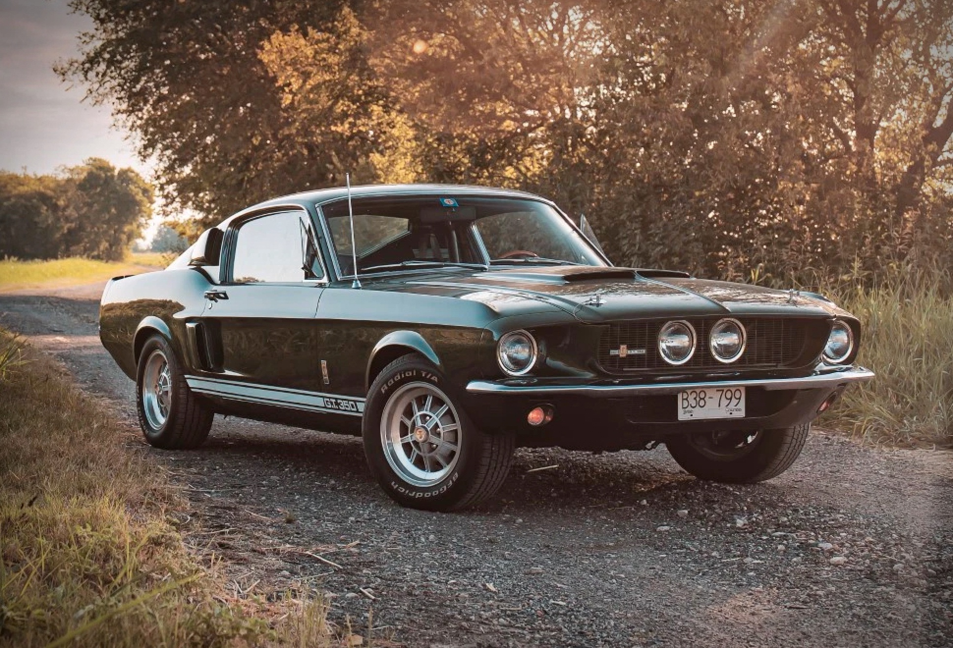 1967 Shelby Mustang GT350 | Image