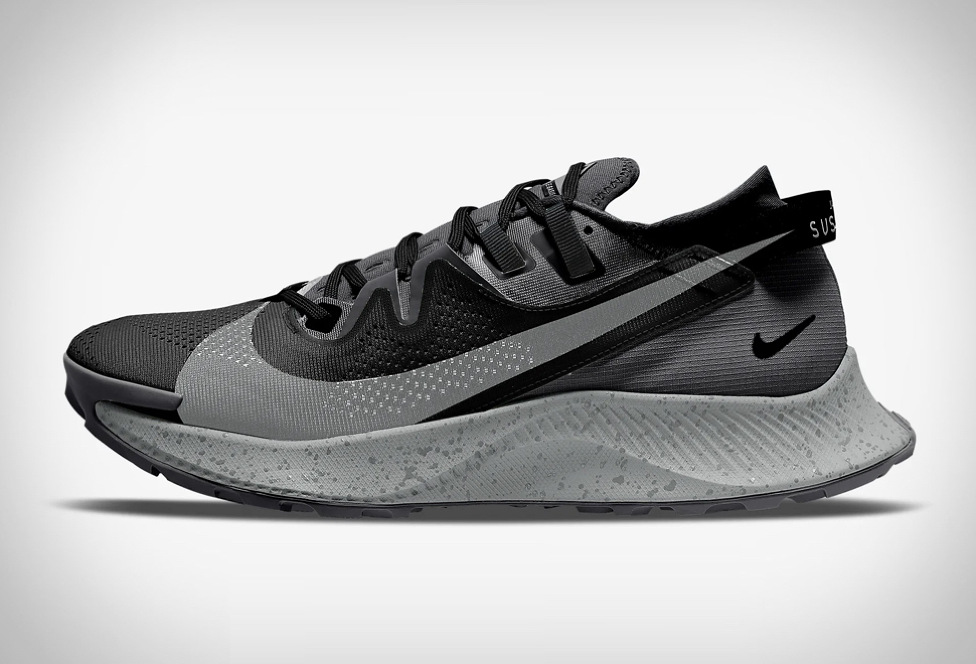 Nike Pegasus Trail 2 | Image