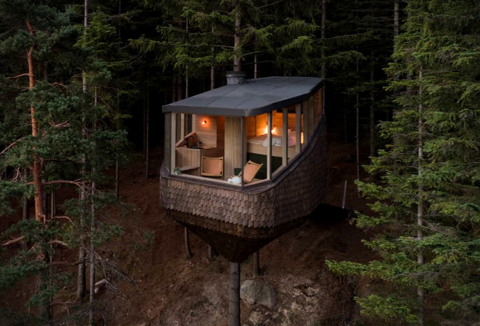 Woodnest | Image