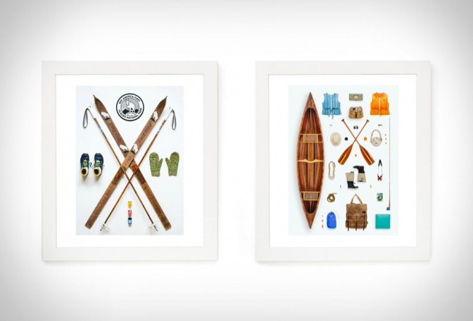 Field Guide Designs Art Prints - Image