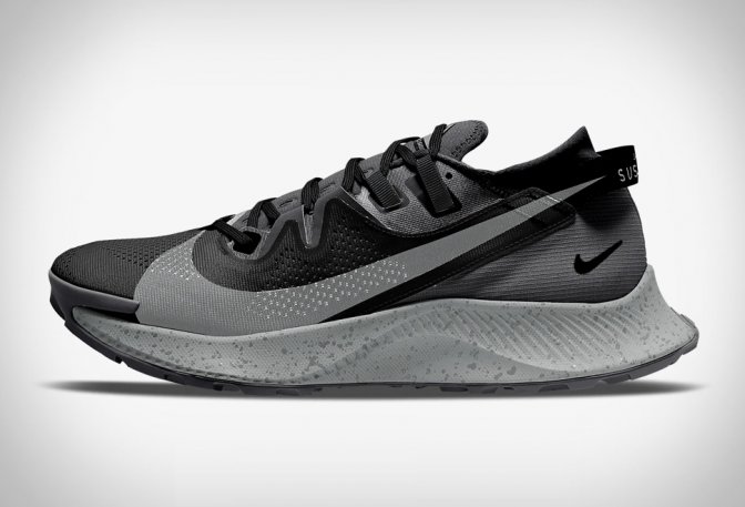 NIKE PEGASUS TRAIL 2 - Image