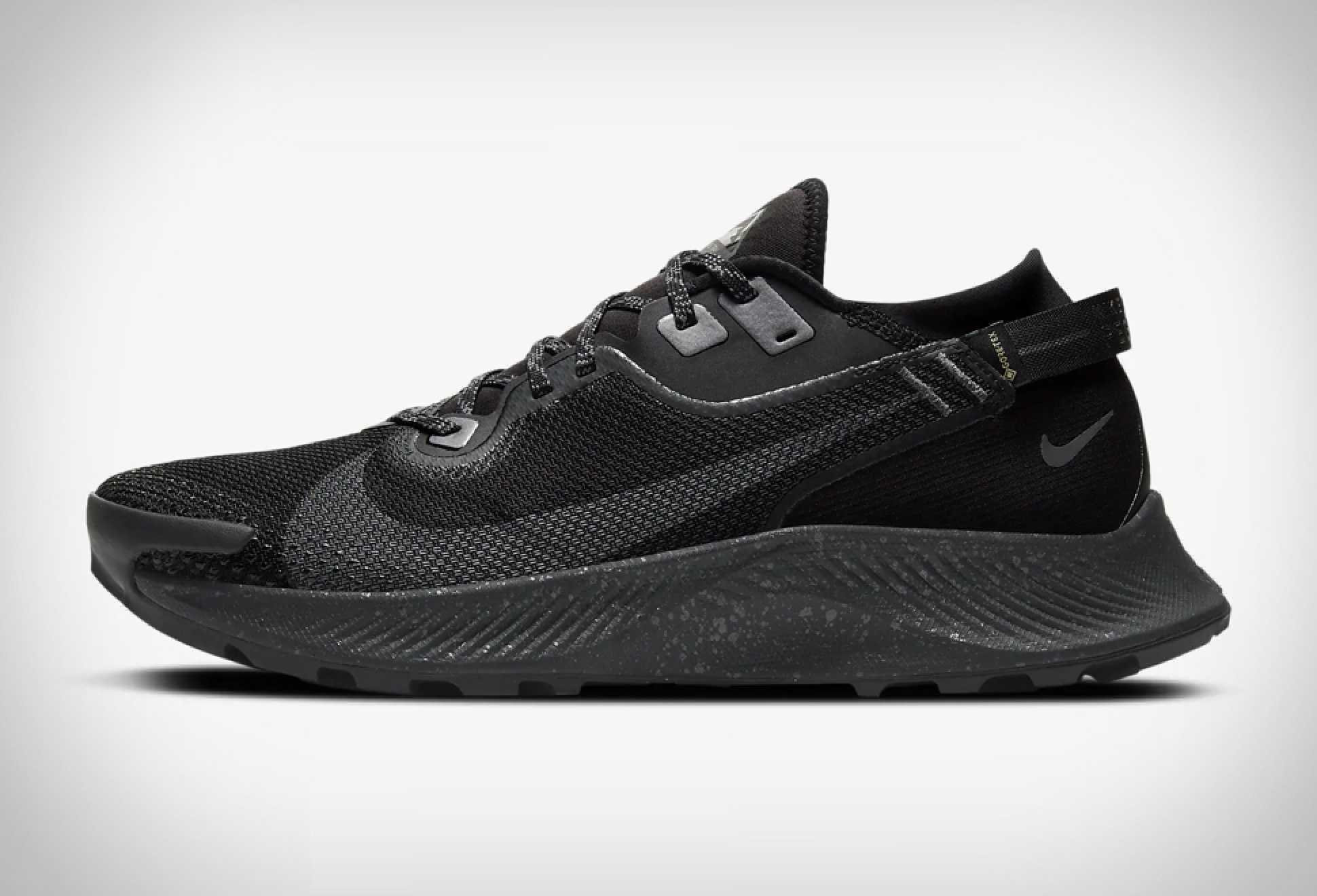 Nike Pegasus Trail 2 Gore Tex