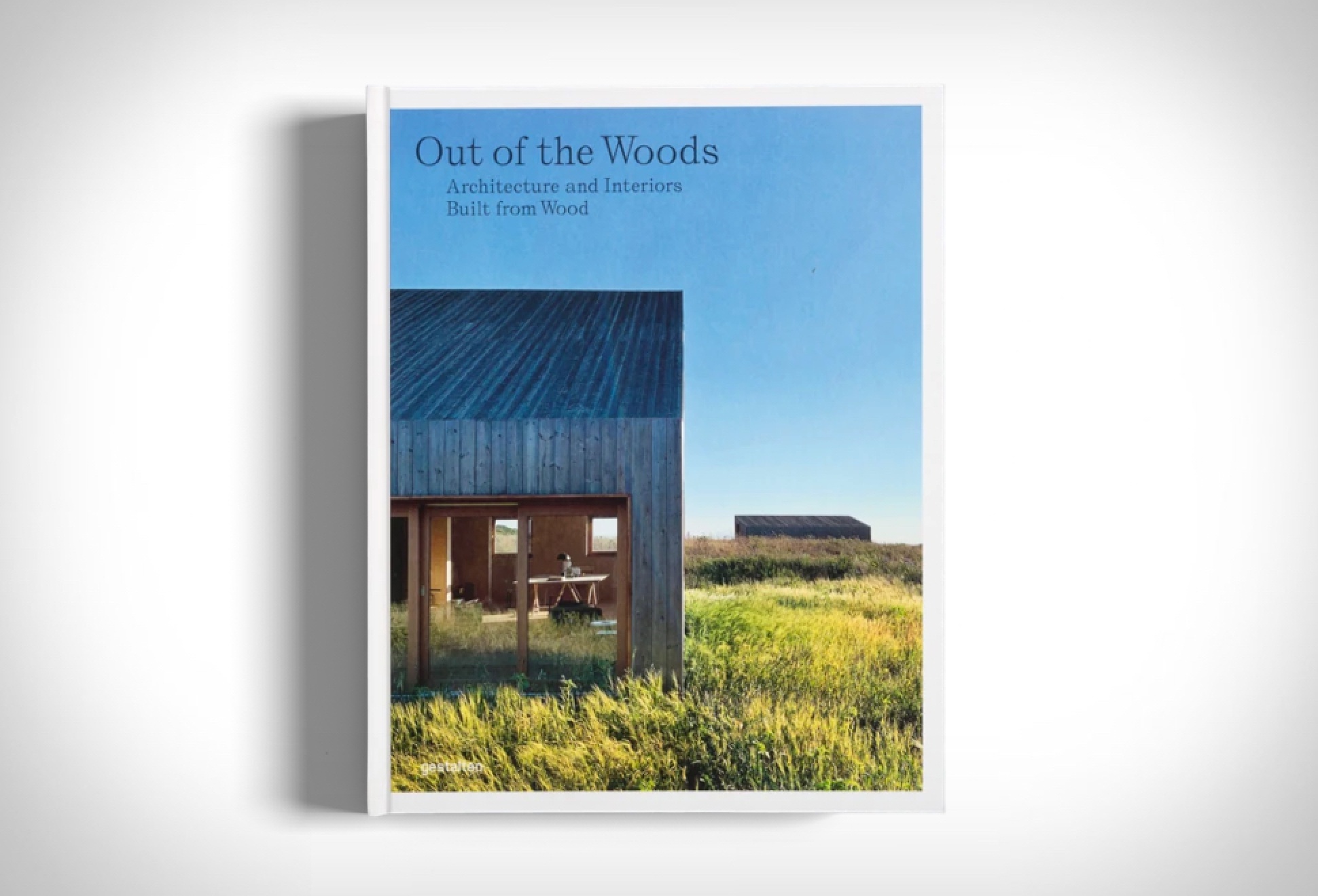 Out of the Woods | Image