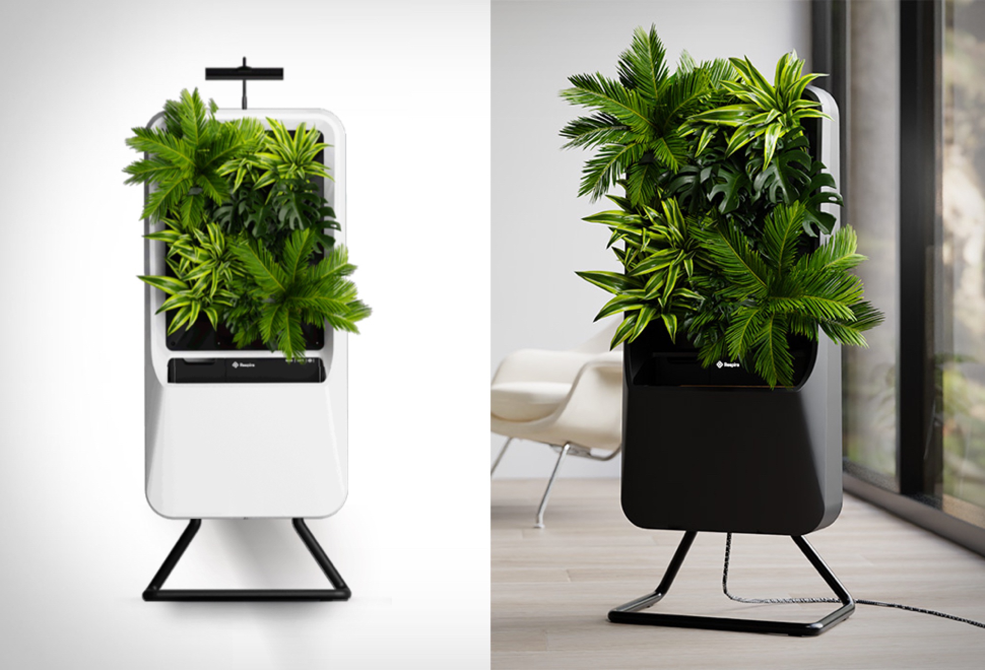 Respira Natural Air Purifier | Image