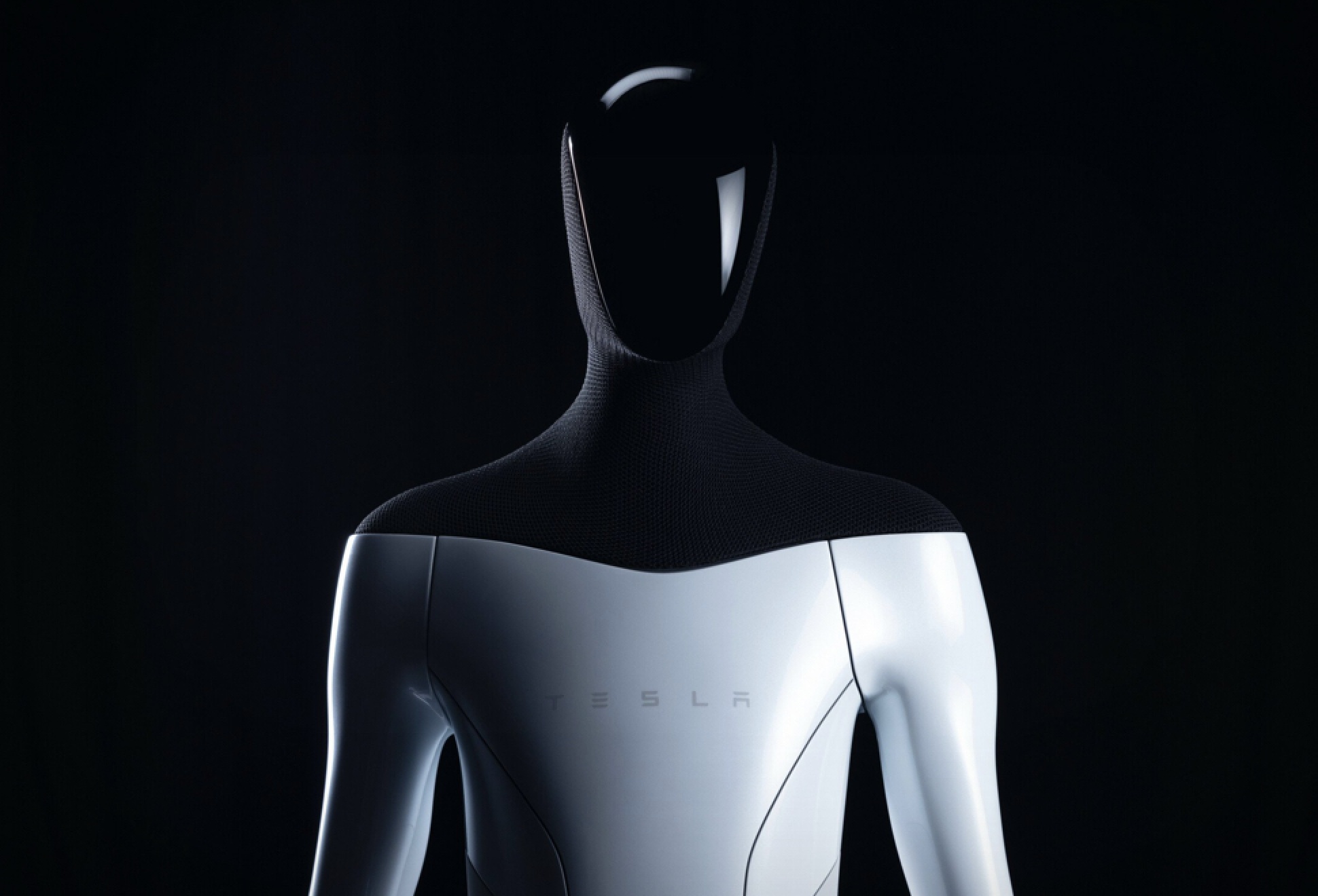Tesla Bot | Image