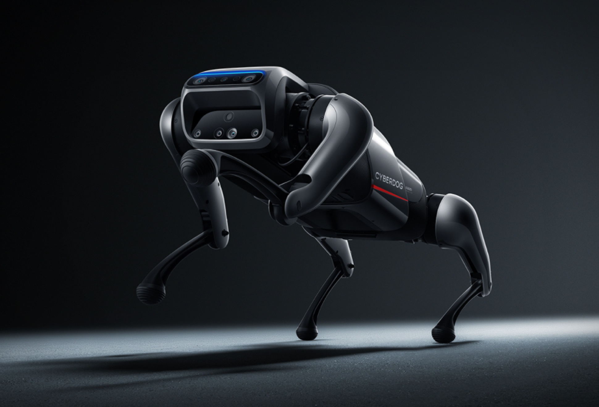 Xiaomi Cyberdog | Image