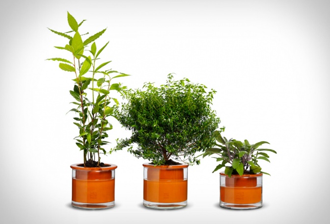 SELF WATERING POTS - Image