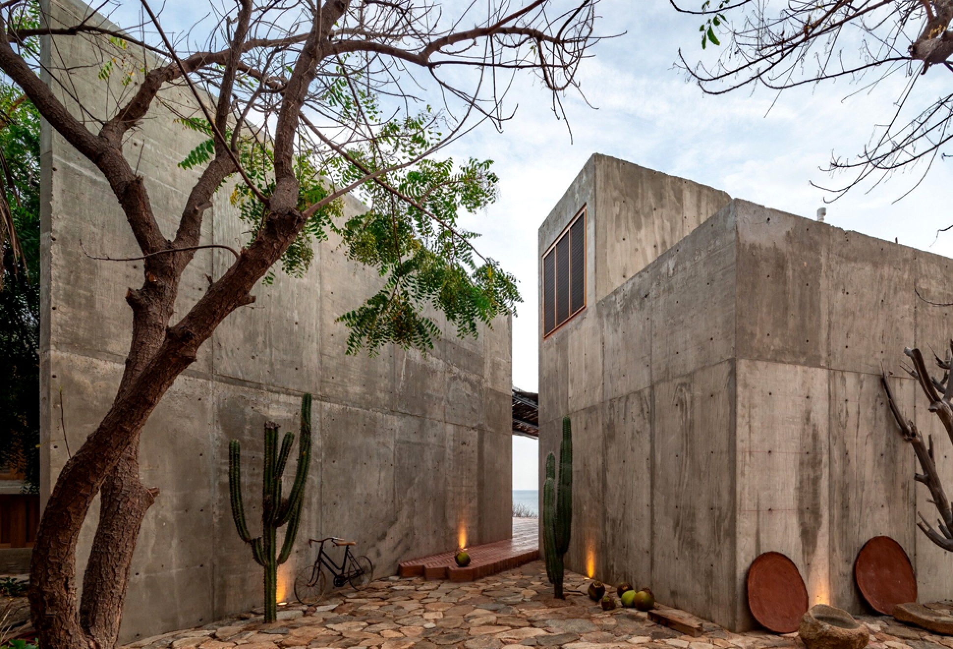 La Casa Del Sapo | Image