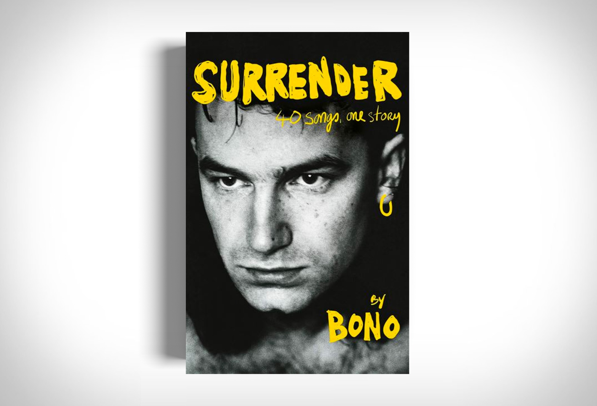 Surrender: 40 Songs, One Story | Image
