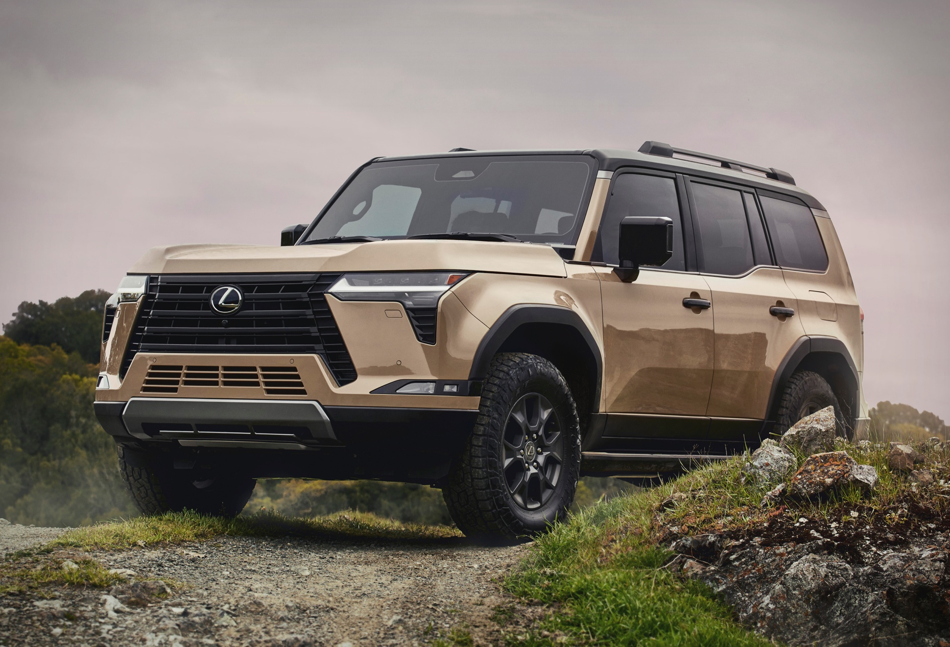 2024 Lexus GX | Image