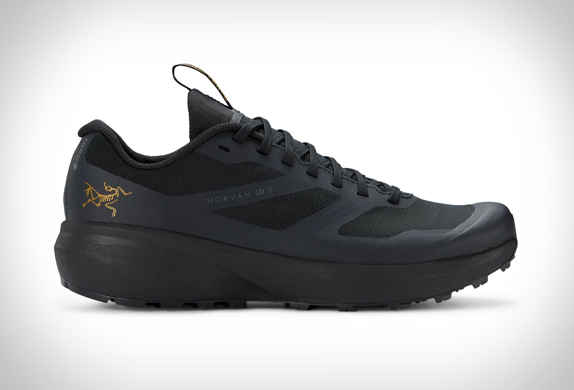 Arcteryx Norvan LD 3 GTX Shoe | Image