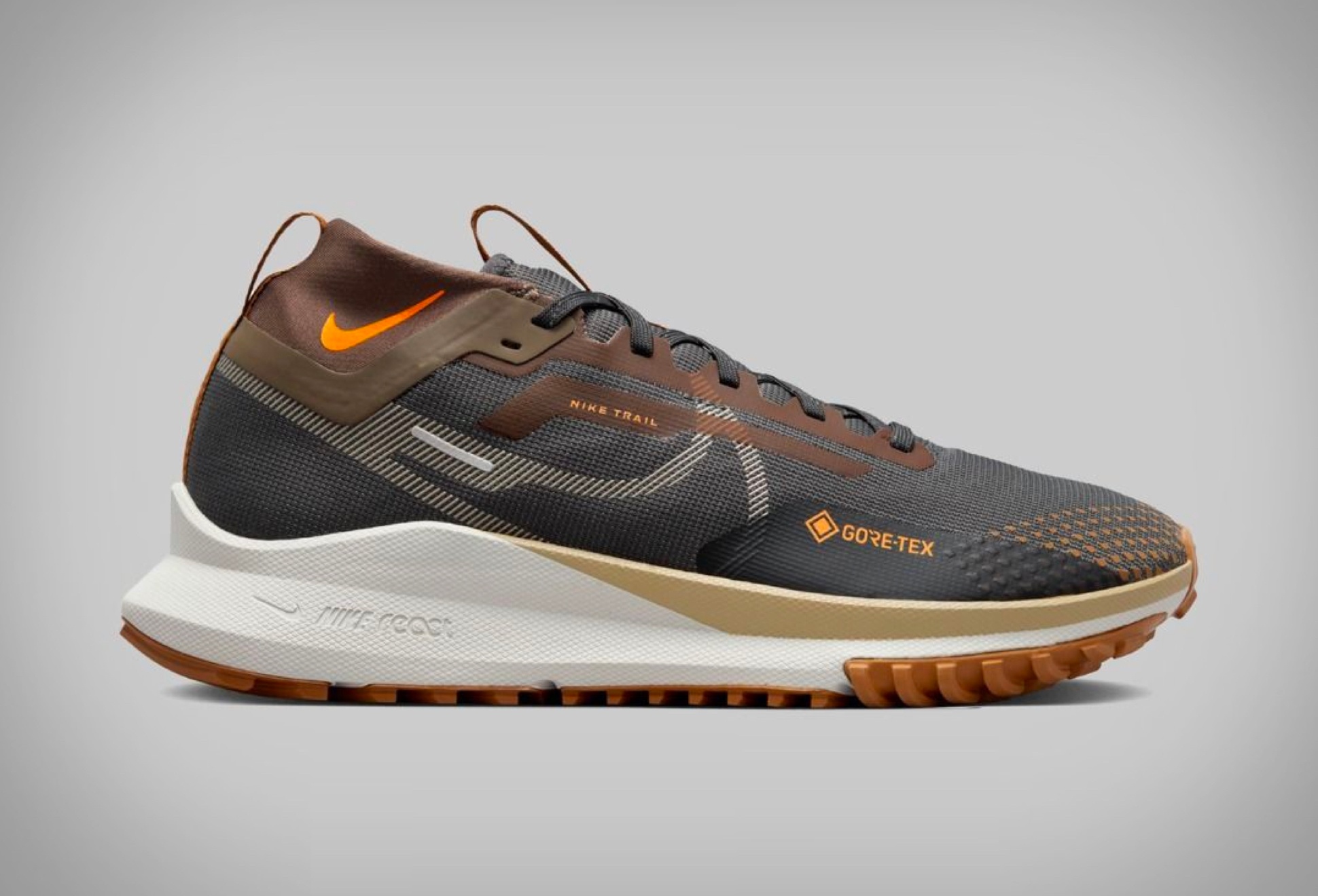 Nike Pegasus Trail 4 GORE-TEX | Image