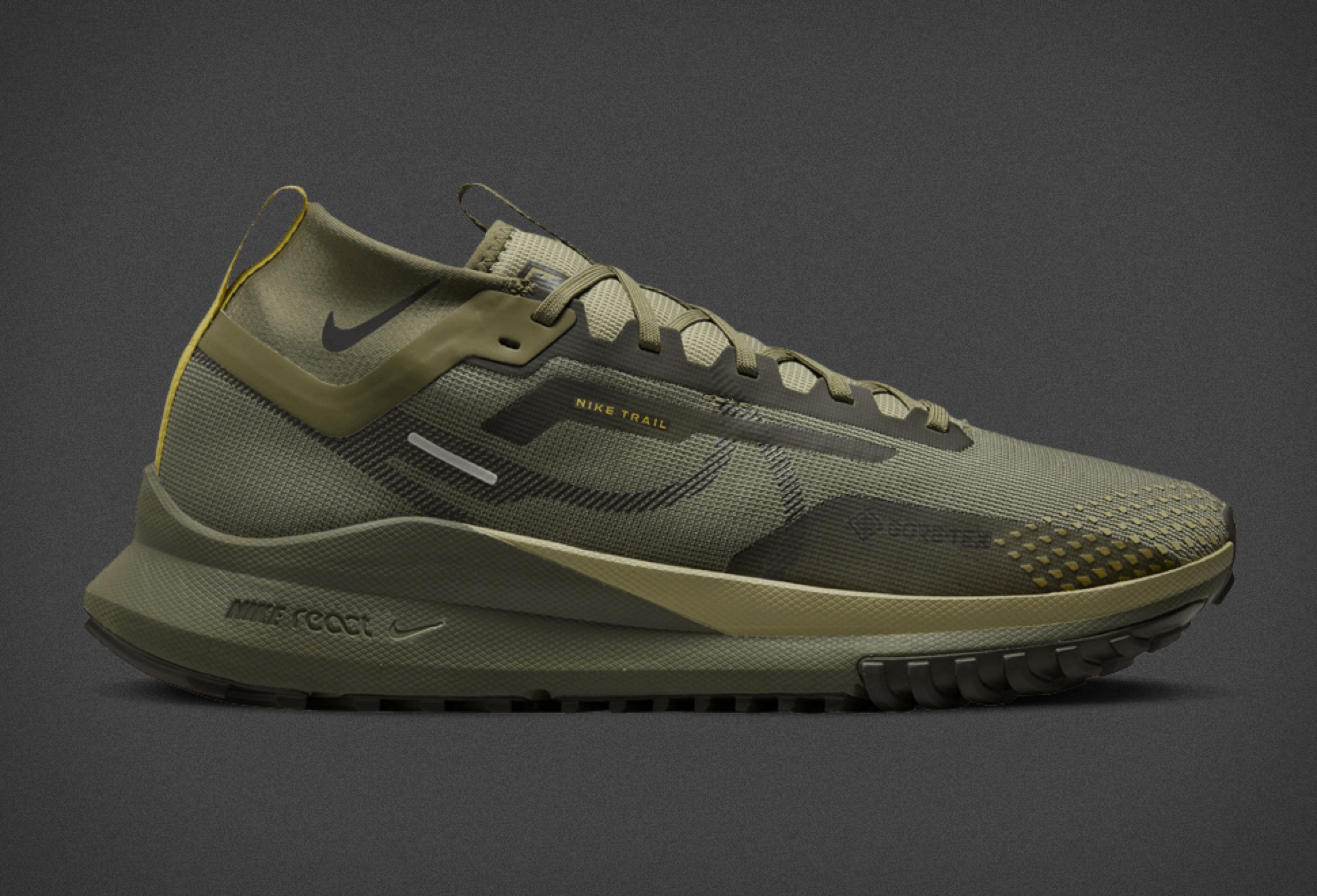 Nike Pegasus Trail 4 Gore-Tex | Image