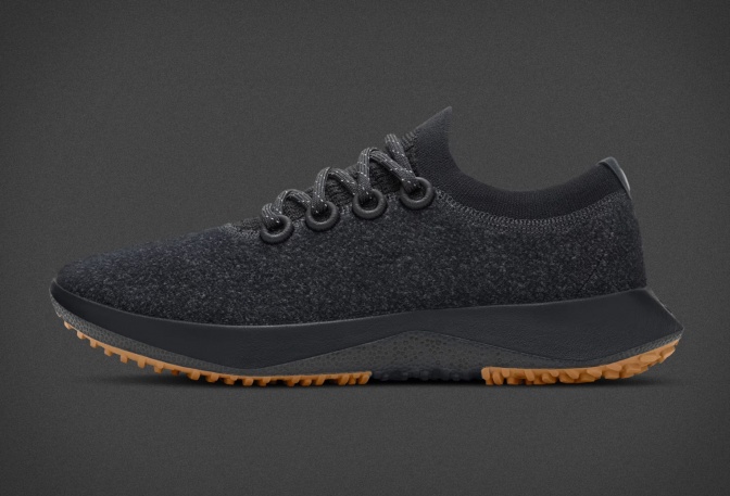 Allbirds Wool Dasher Mizzles - Image
