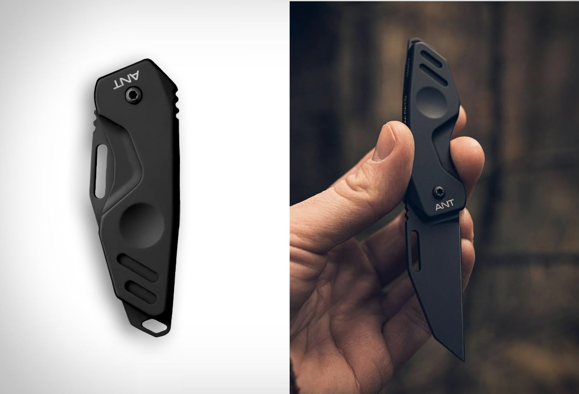 Ant Pocket Knife