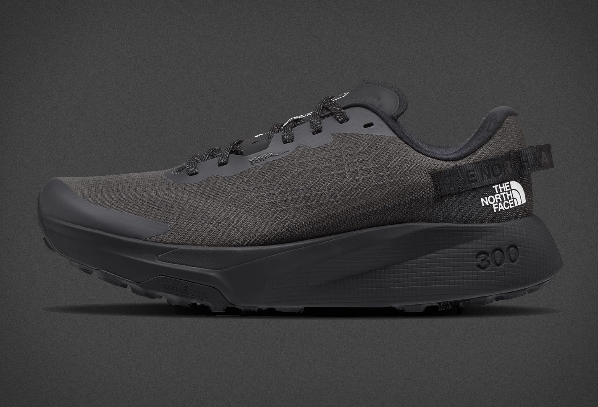 The North Face Altamesa 300 Shoes