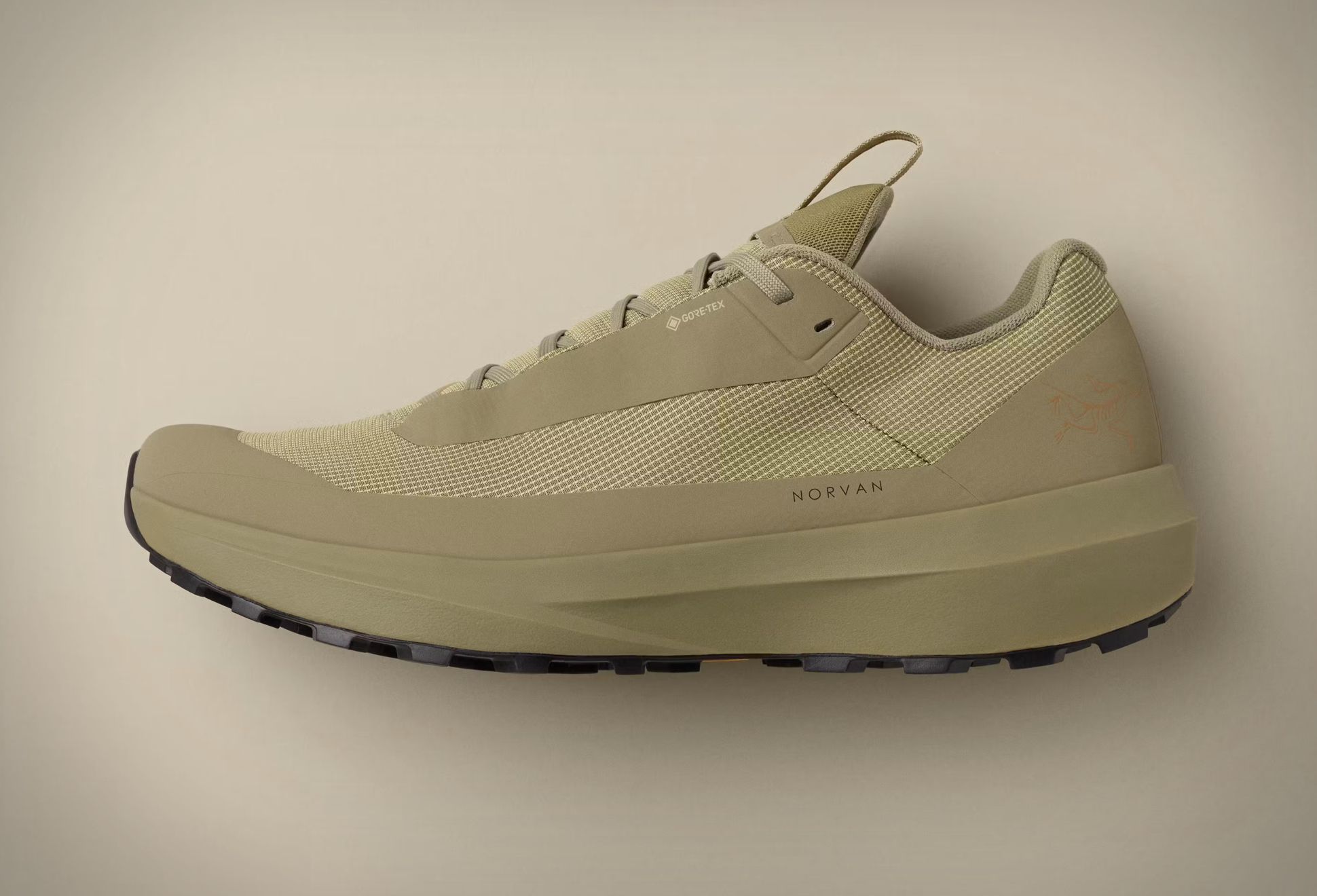 Arcteryx Norvan LD4 GTX Trail Sneaker | Image