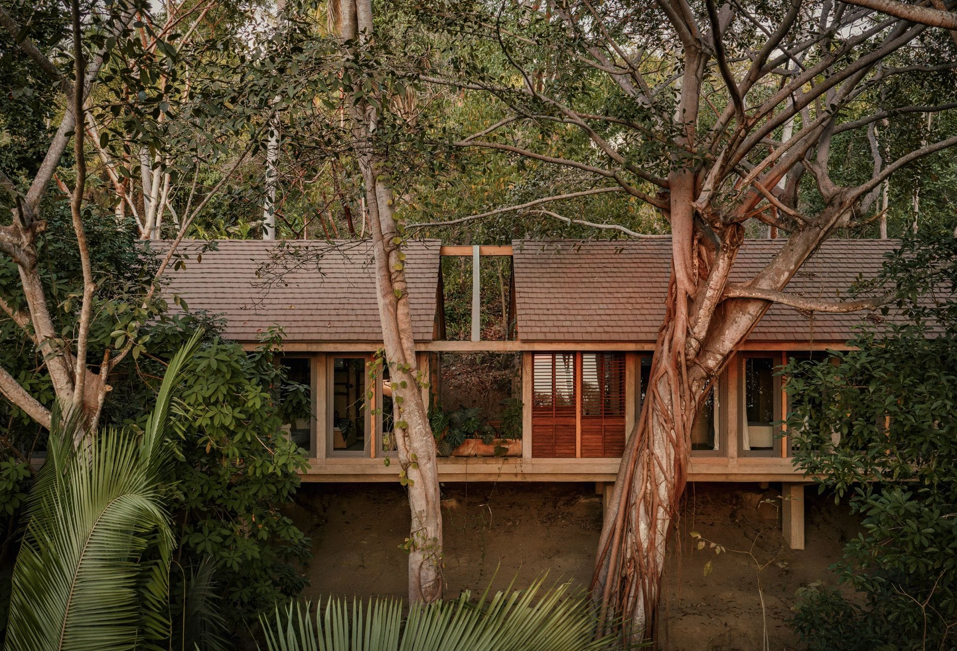 Casa de las Aves | Image