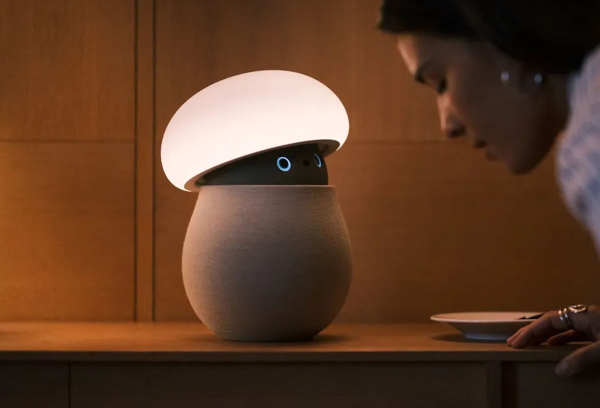 Mori Companion Robot | Image