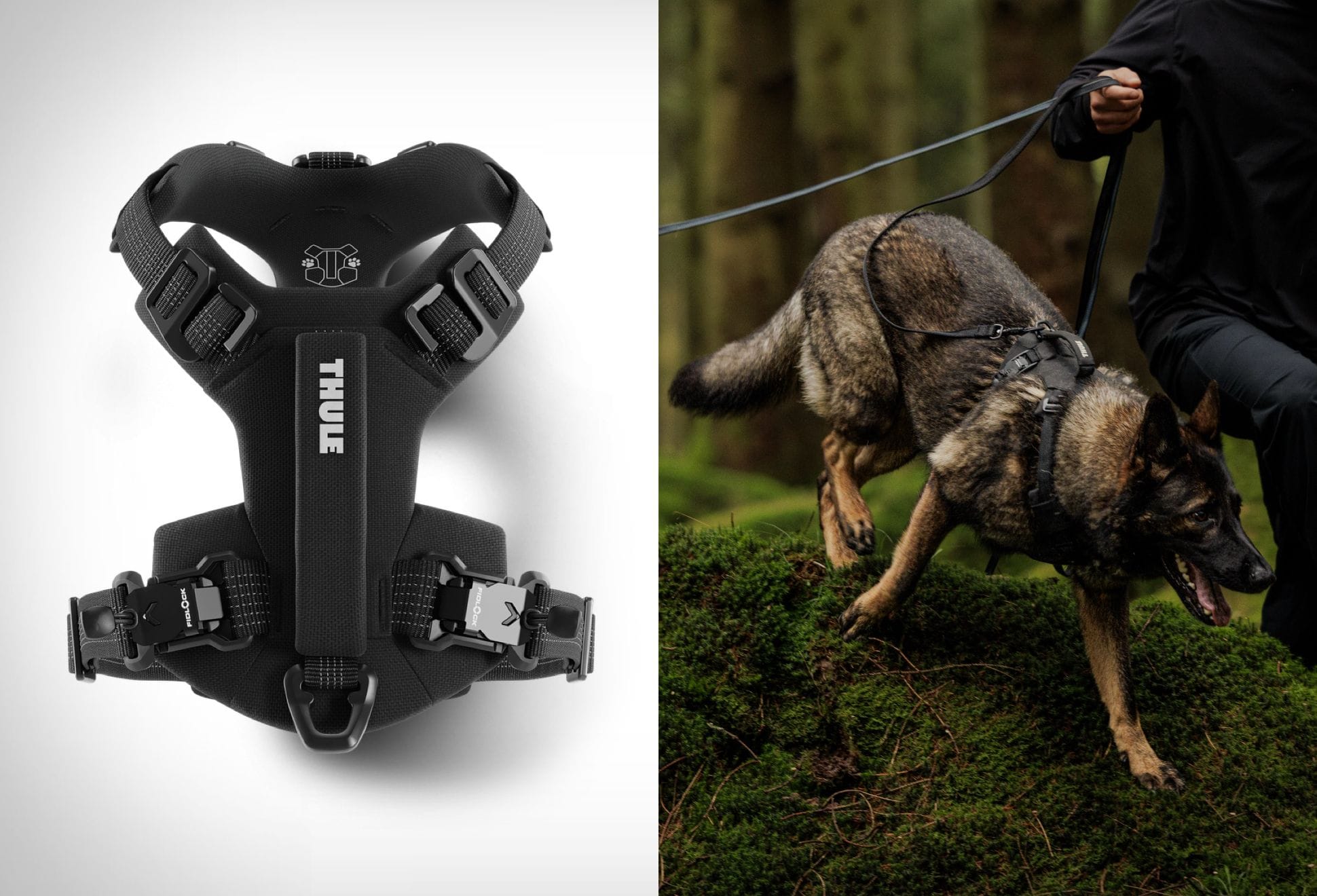 Thule Dart Dog Harness | Image