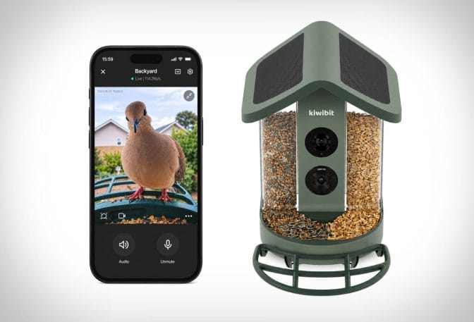 Smart Bird Feeder | Image