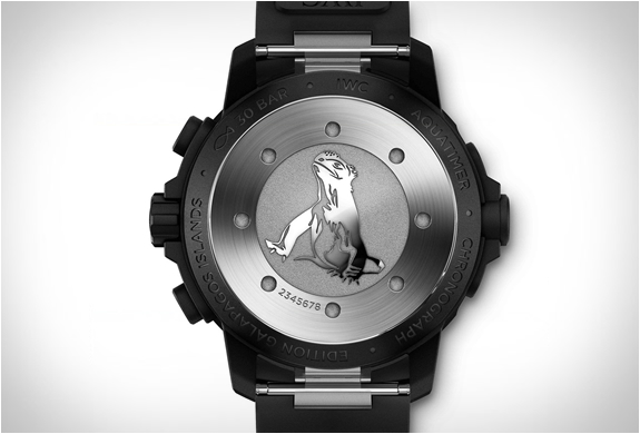 2014-iwc-aquatimer-3.jpg | Image