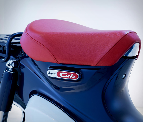 2019-super-cub-5.jpg | Image