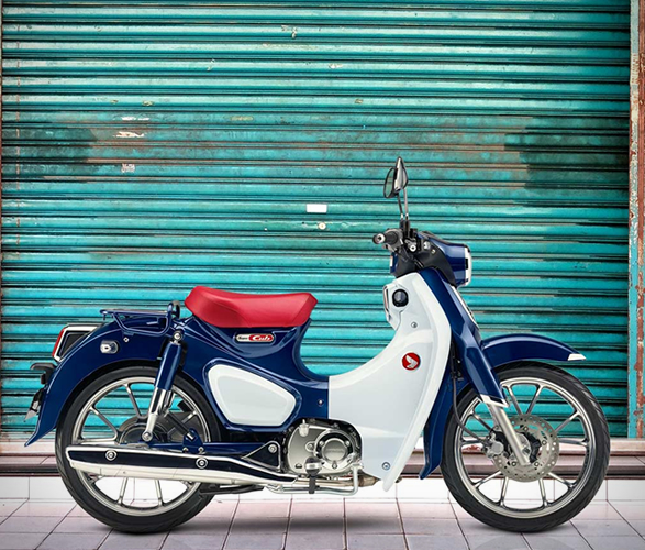 2019-super-cub-8.jpg