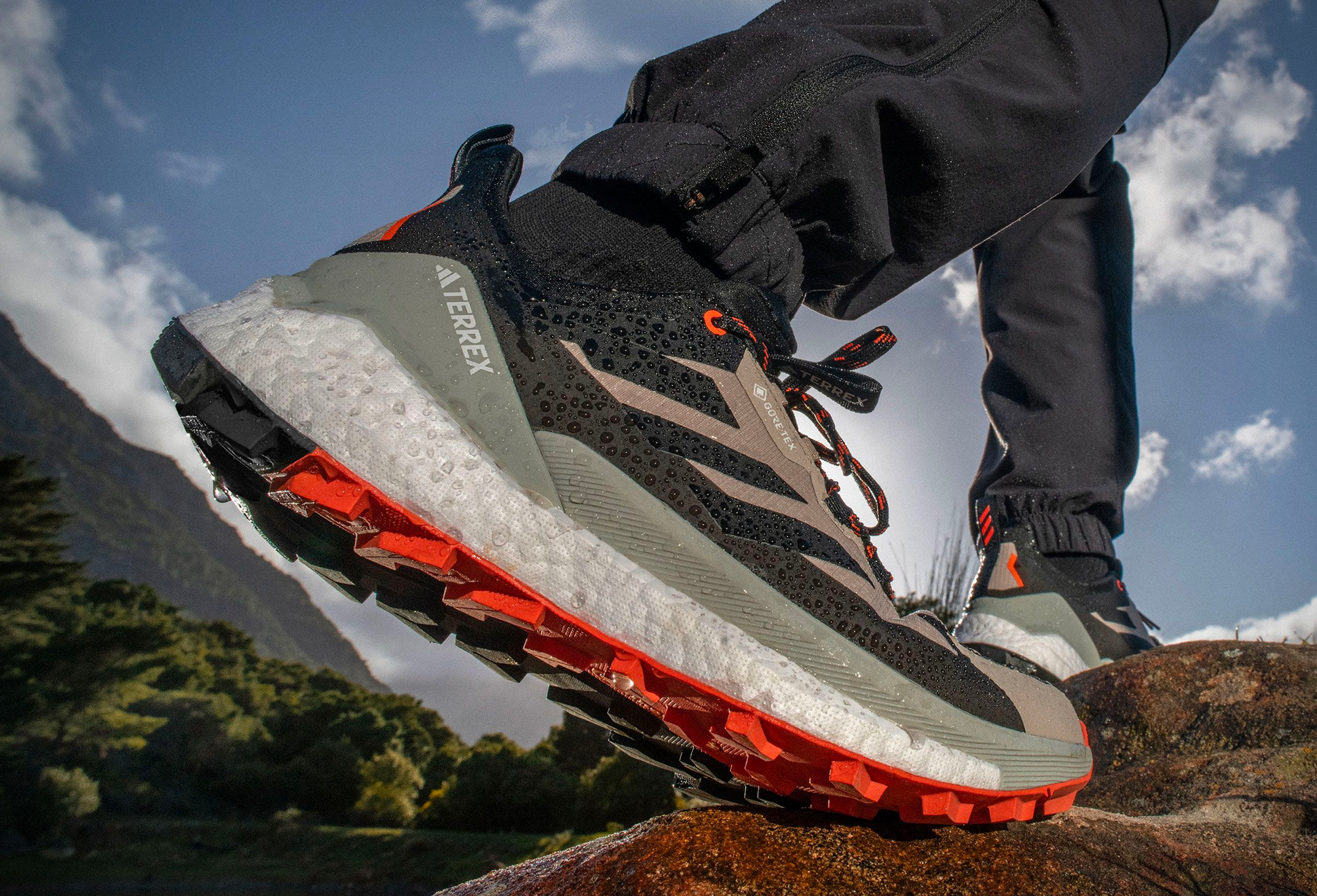 Adidas Terrex Free Hiker 2.0 Low Hiking Shoes
