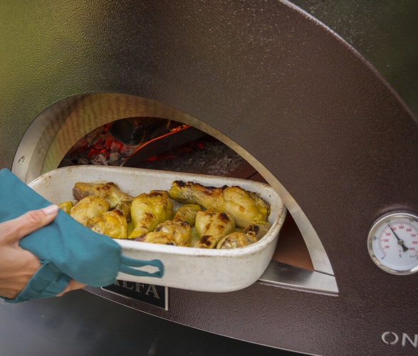 alfa-one-portable-oven-4.jpg | Image