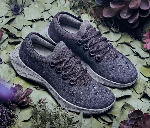 allbirds-wool-dasher-mizzles-8.jpg