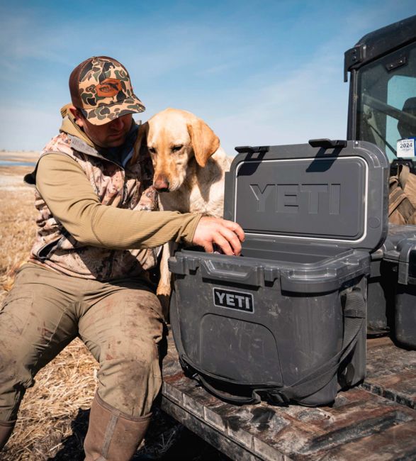 amazon-big-spring-sale-footer.jpg | Image