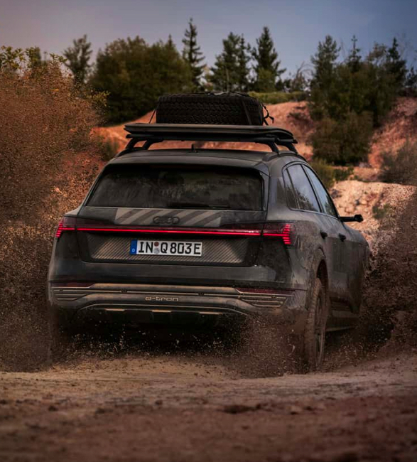 audi-q8-e-tron-edition-dakar-13.jpg