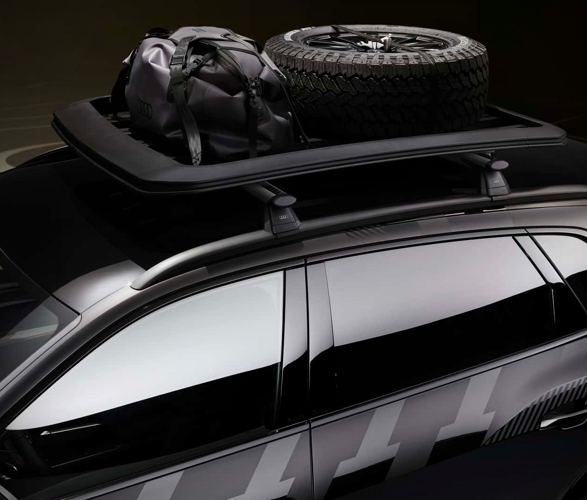 audi-q8-e-tron-edition-dakar-6.jpg