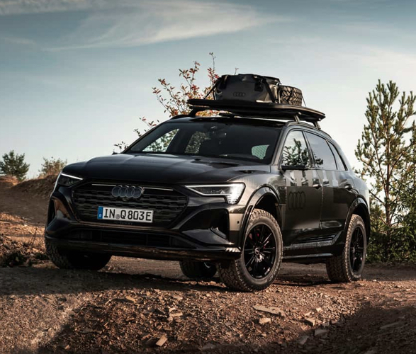 audi-q8-e-tron-edition-dakar-9.jpg