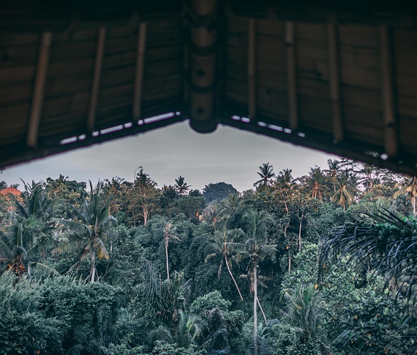 aura-house-10.jpg