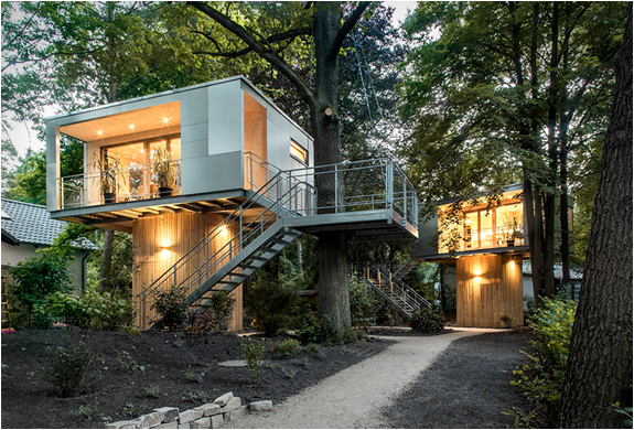 baumraum-treehouses-11.jpg