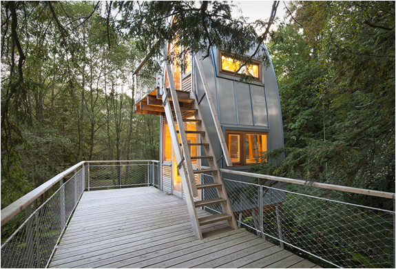 baumraum-treehouses-12.jpg