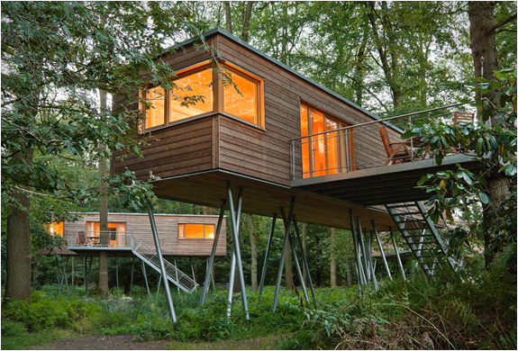 baumraum-treehouses-14.jpg